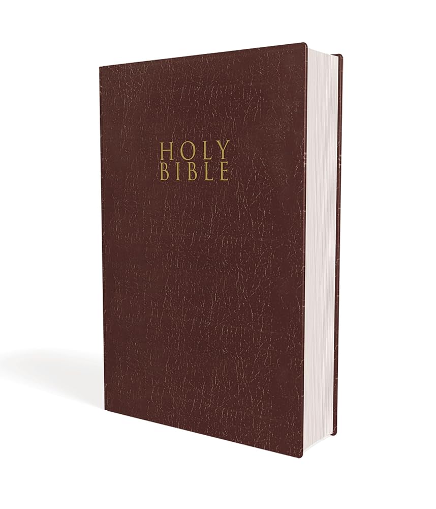 NIV, Gift and Award Bible, Leather-Look, Burgundy, Red Letter, Comfort Print cover image