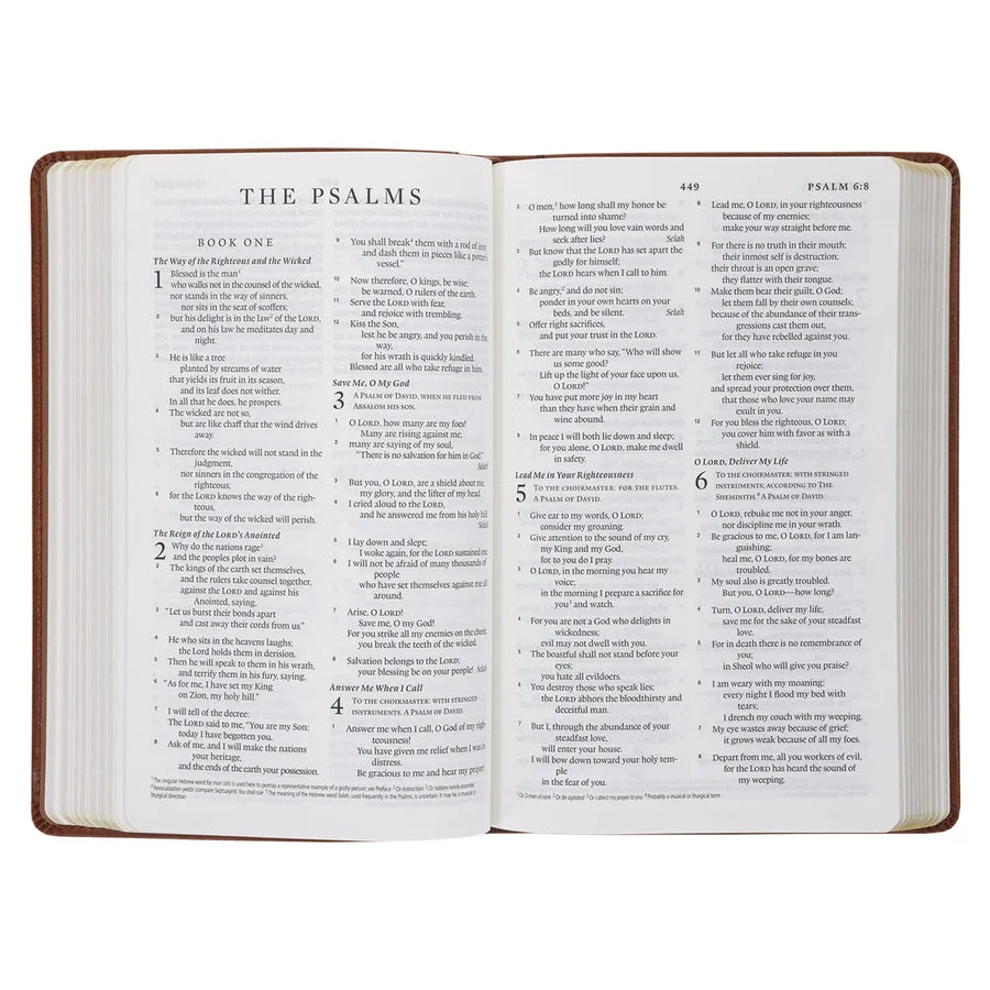 ESV Tan Brown Faux Leather Standard Bible