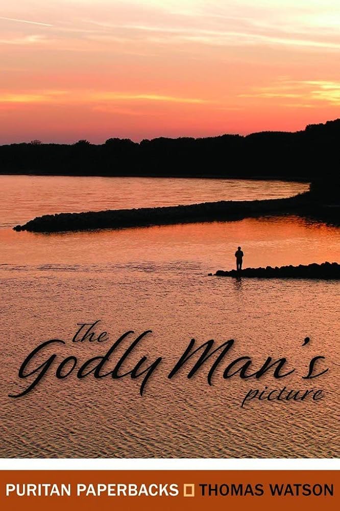 The Godly Man's Picture (Puritan Paperbacks) cover image