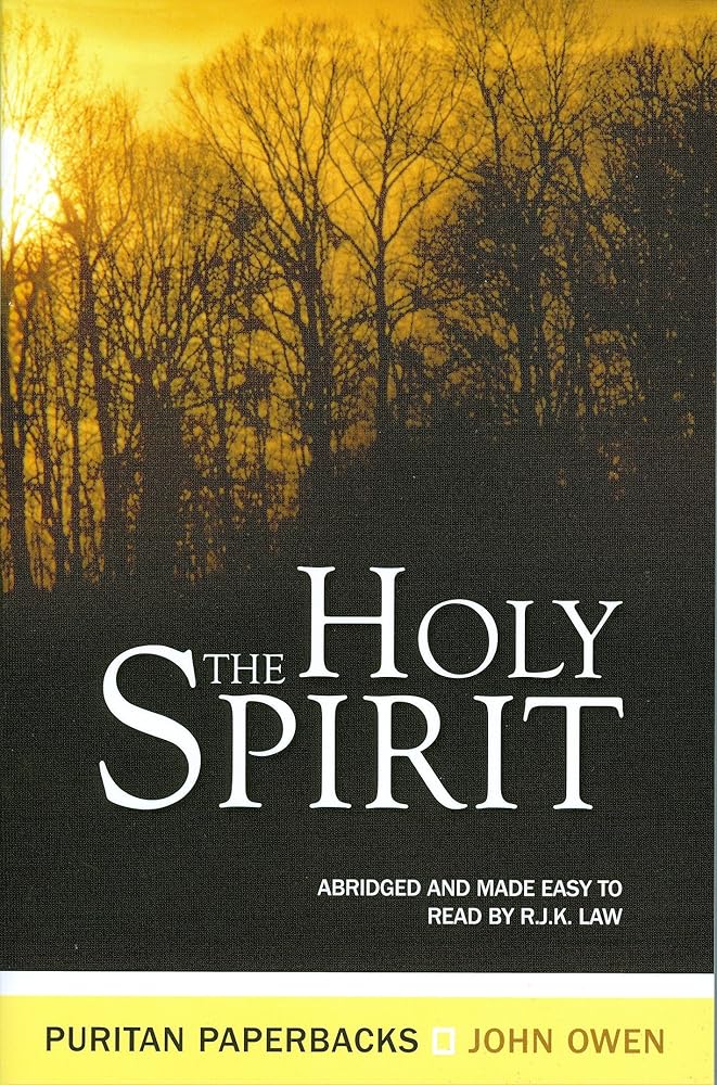 The Holy Spirit: The Treasures (Treasures of John Owen) cover image