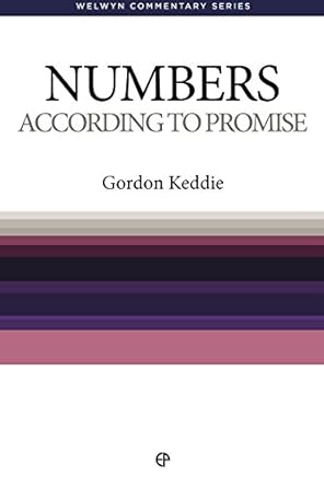 Numbers: According To Promise (Welwyn Commentary Series) cover image