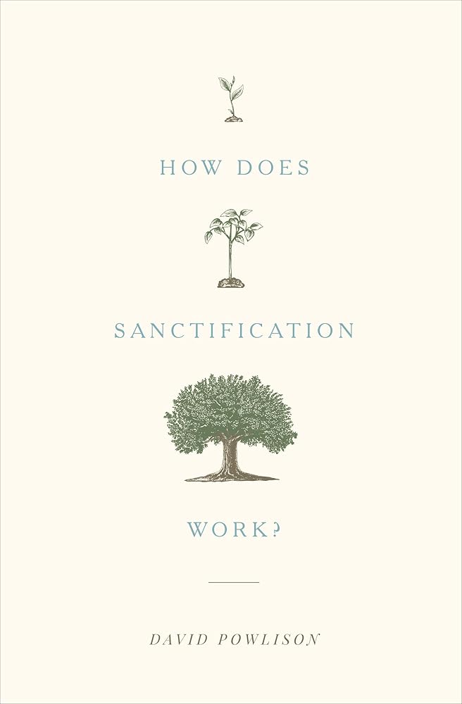 How Does Sanctification Work? cover image