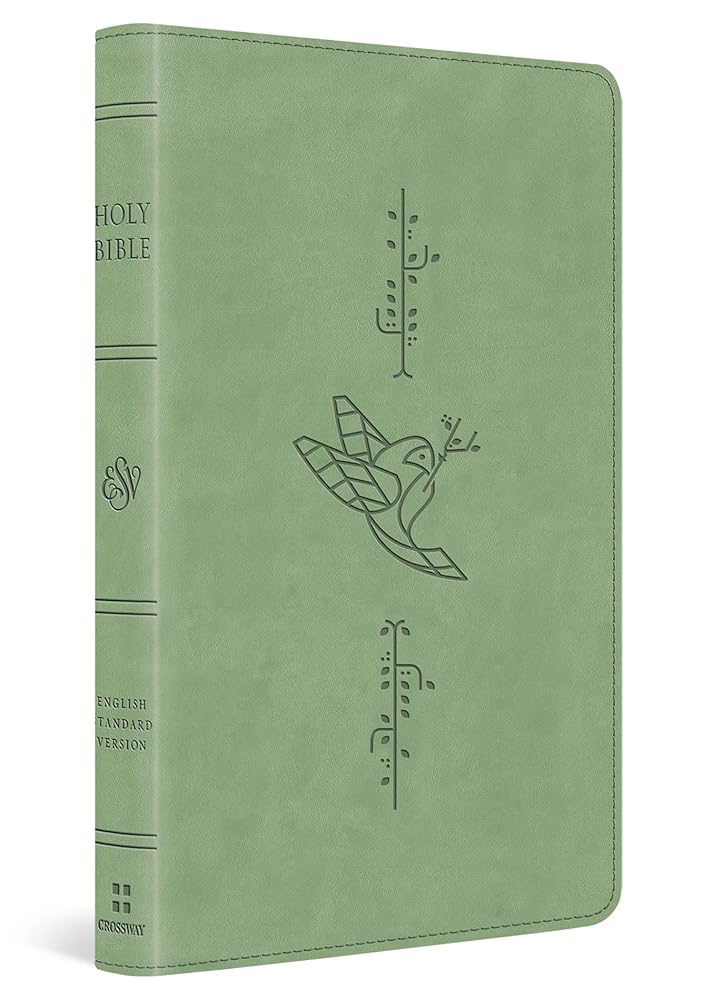 ESV Kid's Bible, Thinline (TruTone, Bird of the Air) cover image