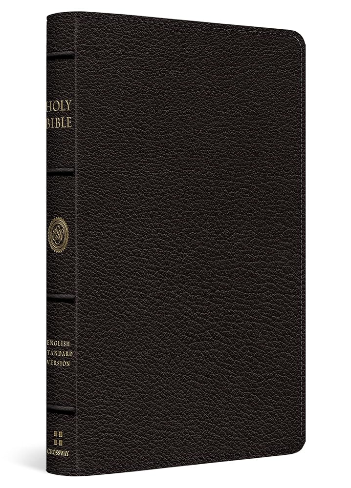 ESV Premium Thinline Bible (Goatskin, Black) cover image