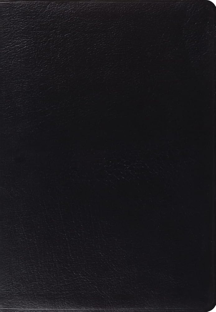ESV Giant Print Bible (Black) cover image