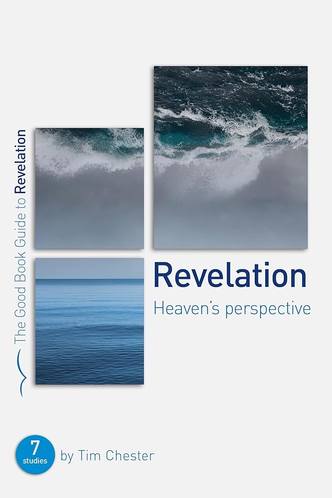 Revelation: Heaven's perspective cover image