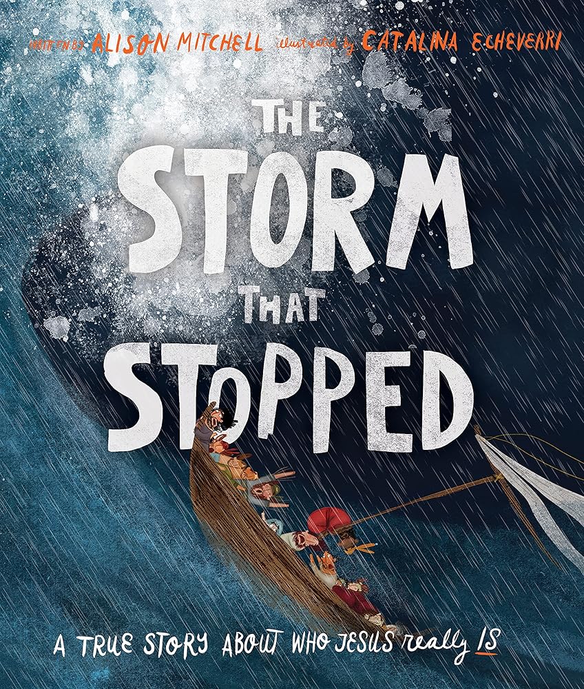 The Storm That Stopped cover image