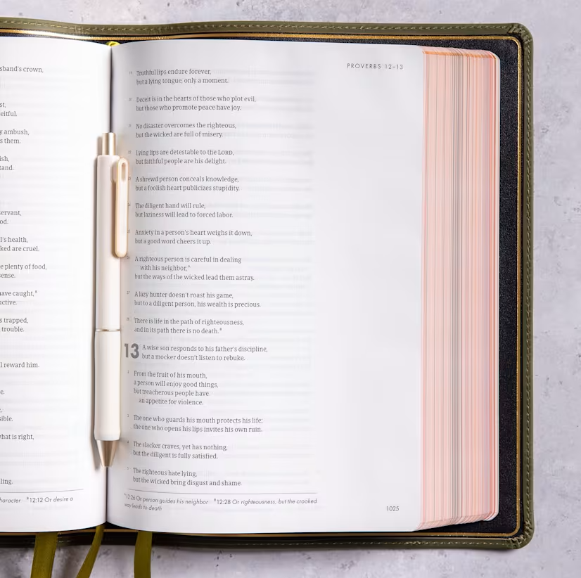 Journaling Bibles