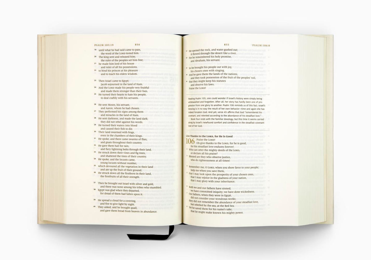 ESV Story of Redemption Bible: A Journey through the Unfolding Promises of God