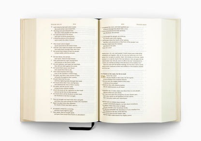 ESV Story of Redemption Bible: A Journey through the Unfolding Promises of God