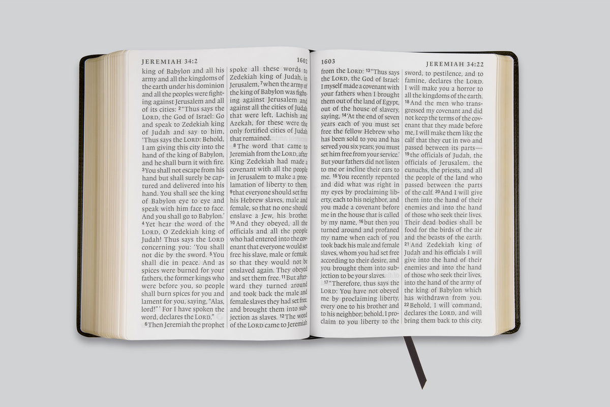 ESV Super Giant Print(Font Size - 17pt) Bible (TruTone, Black)