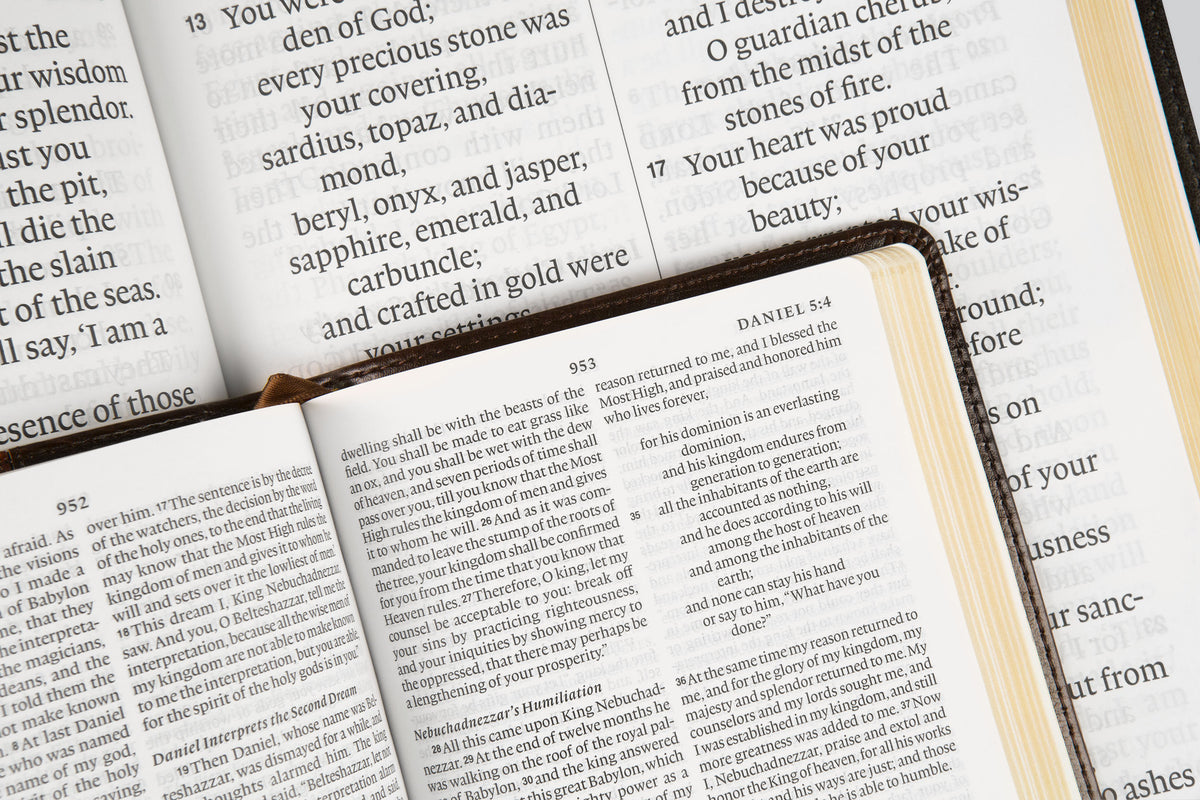ESV Super Giant Print(Font Size - 17pt) Bible (TruTone, Black)