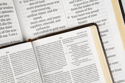 ESV Super Giant Print(Font Size - 17pt) Bible (TruTone, Black)