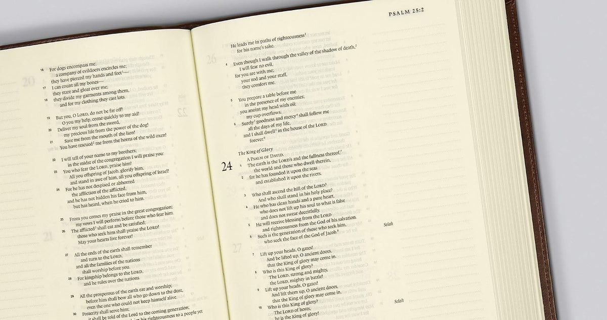 ESV Single Column Journaling Bible (TruTone, Teal, Resplendent Cross Design - Slight Damage)
