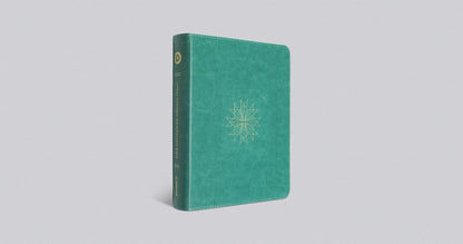 ESV Single Column Journaling Bible (TruTone, Teal, Resplendent Cross Design - Slight Damage)