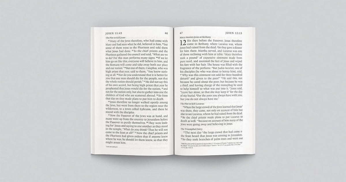ESV Gospel of John