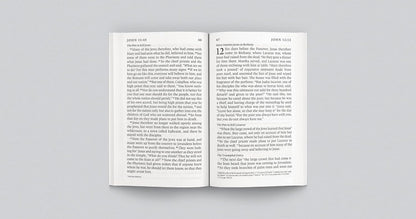 ESV Gospel of John