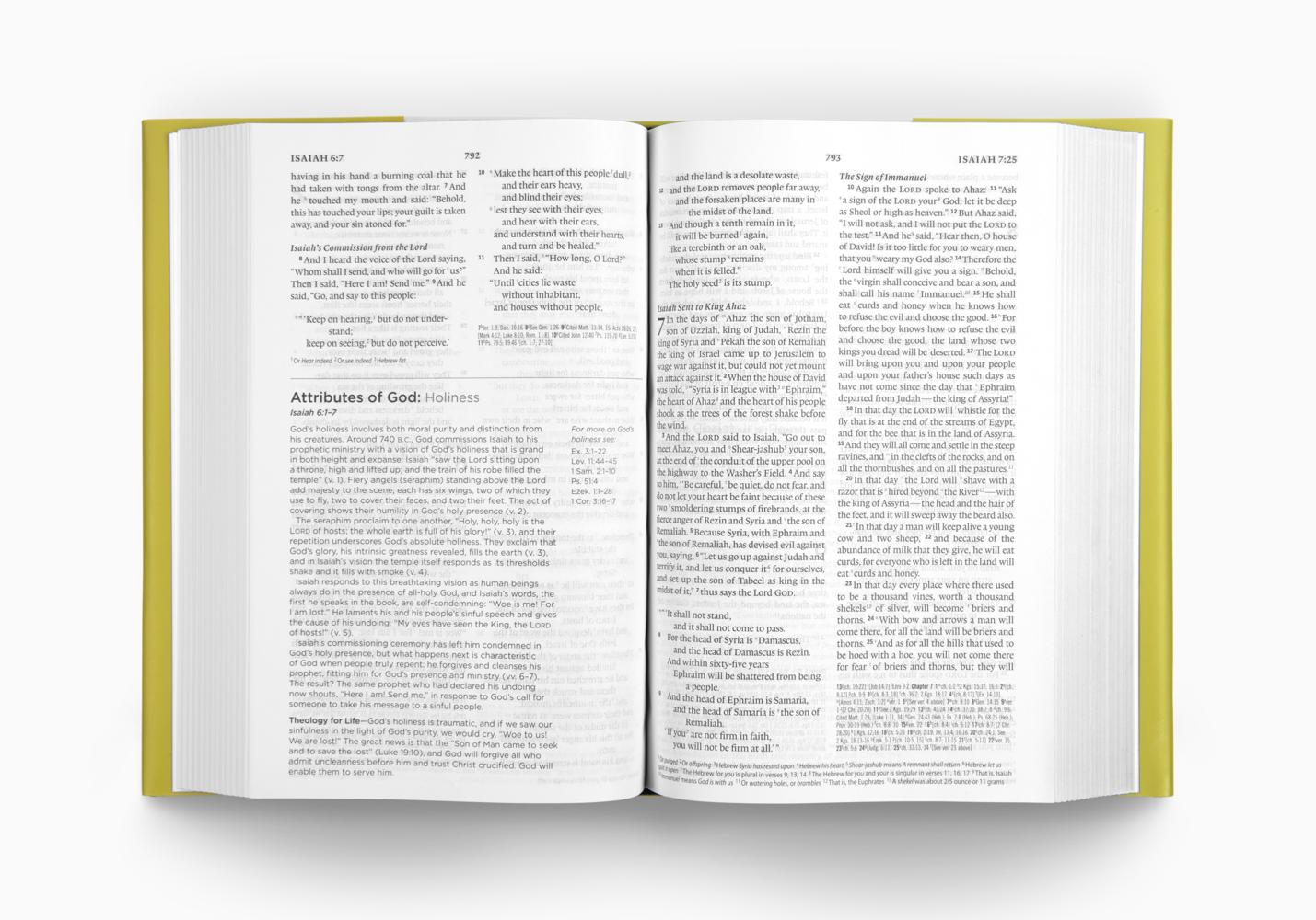 ESV Systematic Theology Study Bible