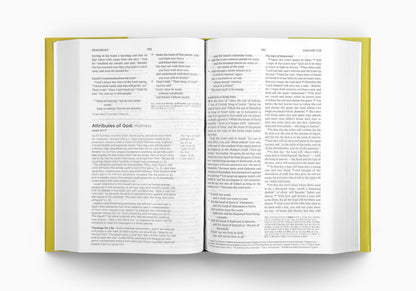 ESV Systematic Theology Study Bible