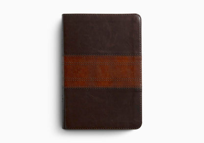 ESV Personal Reference Bible (TruTone, Deep Brown/Tan, Trail Design)