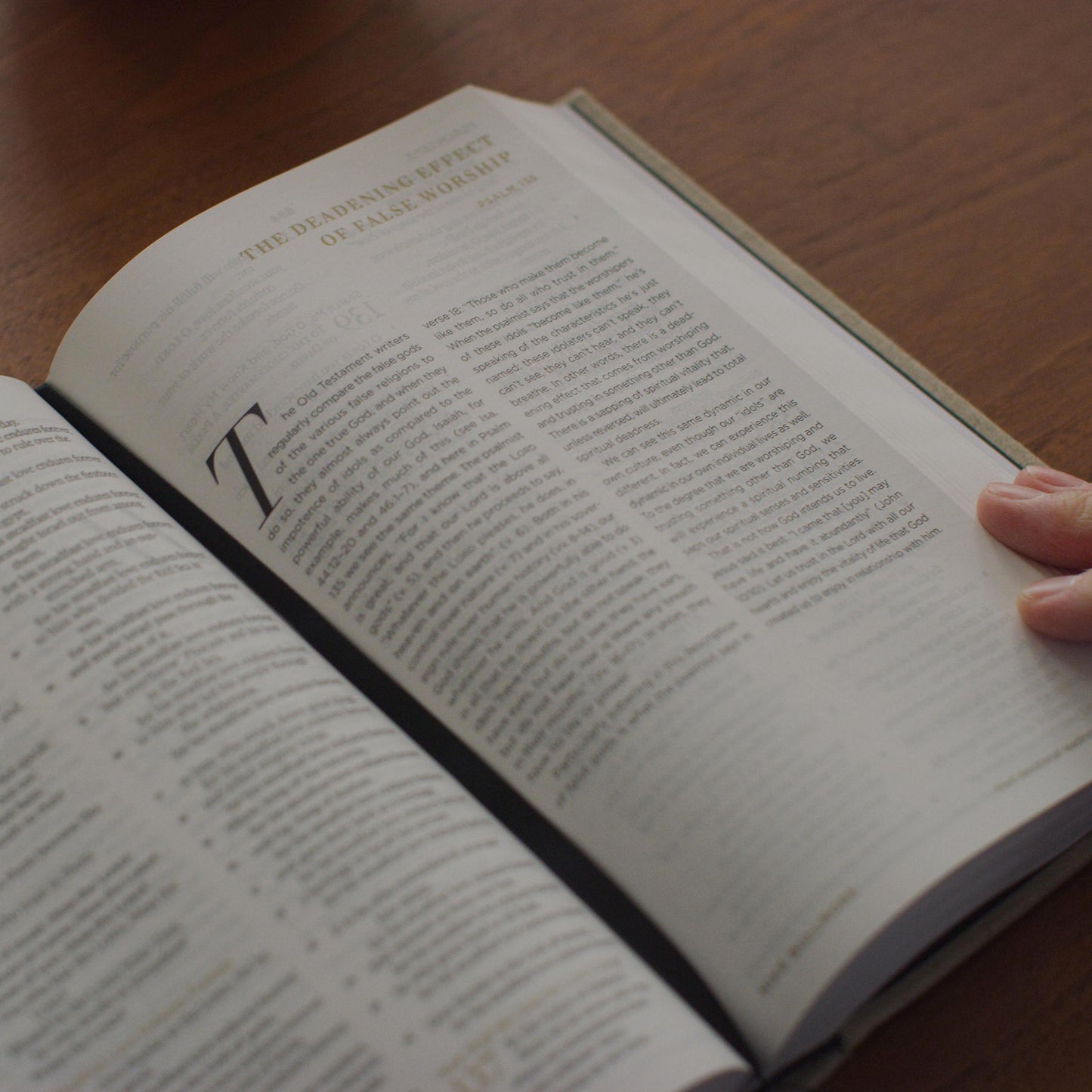ESV Men's Devotional Bible (Cloth over Board)