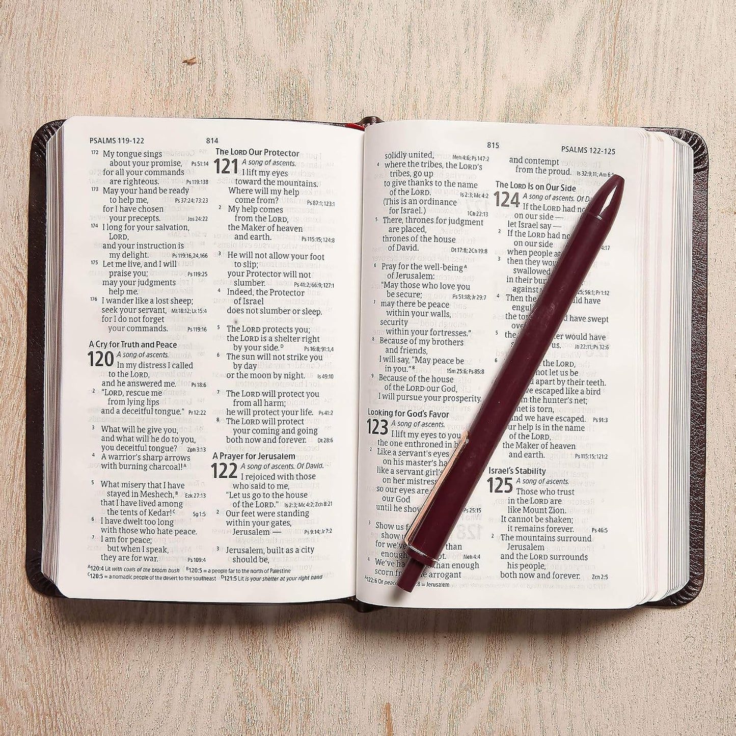 CSB Large Print Compact Reference Bible, Celtic Cross Crimson LeatherTouch