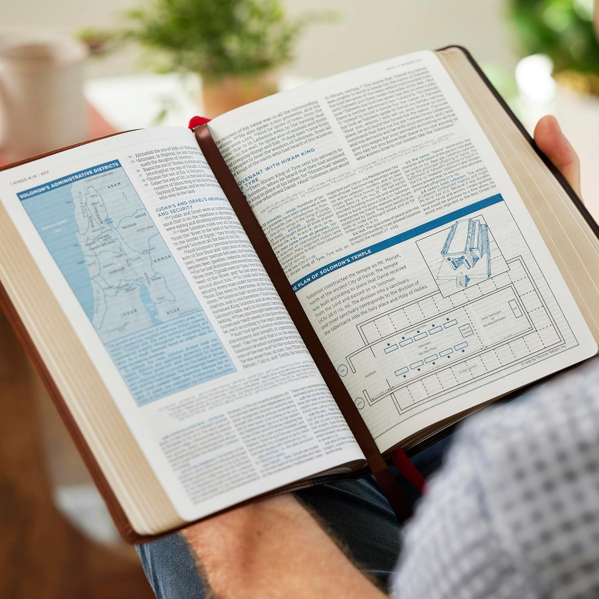 LSB MacArthur Study Bible 2nd Edition: Unleashing God's Truth One Verse at a Time (Hardcover, Comfort Print)