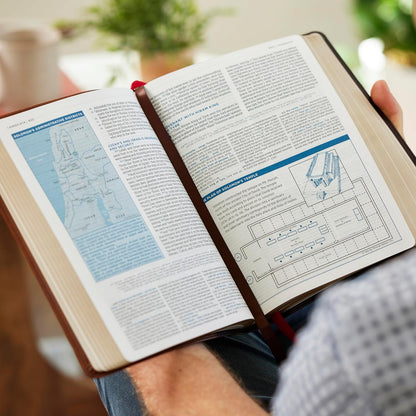LSB MacArthur Study Bible 2nd Edition: Unleashing God's Truth One Verse at a Time (Hardcover, Comfort Print)