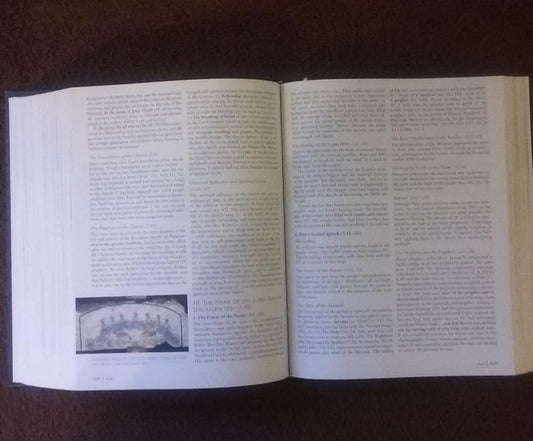 Zondervan Bible Commentary: One-Volume Illustrated Edition cover image