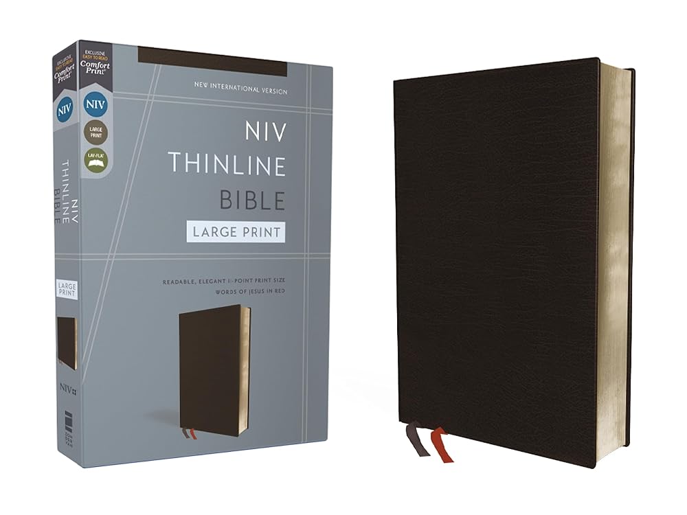 NIV, Thinline Bible, Large Print, Bonded Leather, Black, Red Letter, Comfort Print cover image