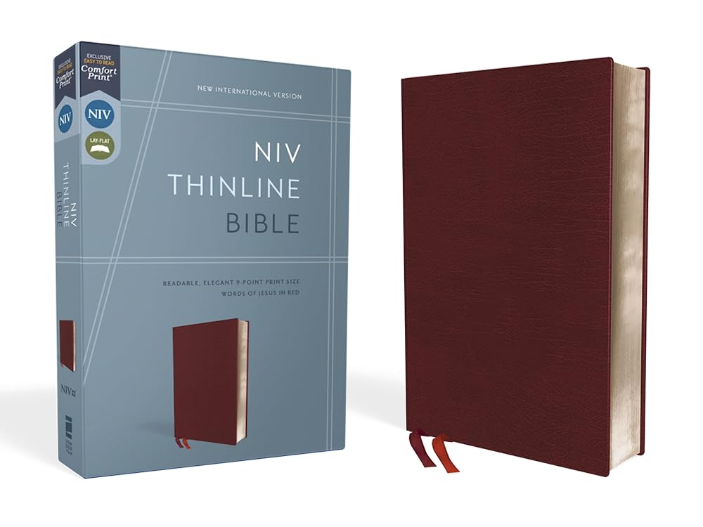 NIV, Thinline Bible, Bonded Leather, Burgundy, Red Letter, Comfort Print cover image