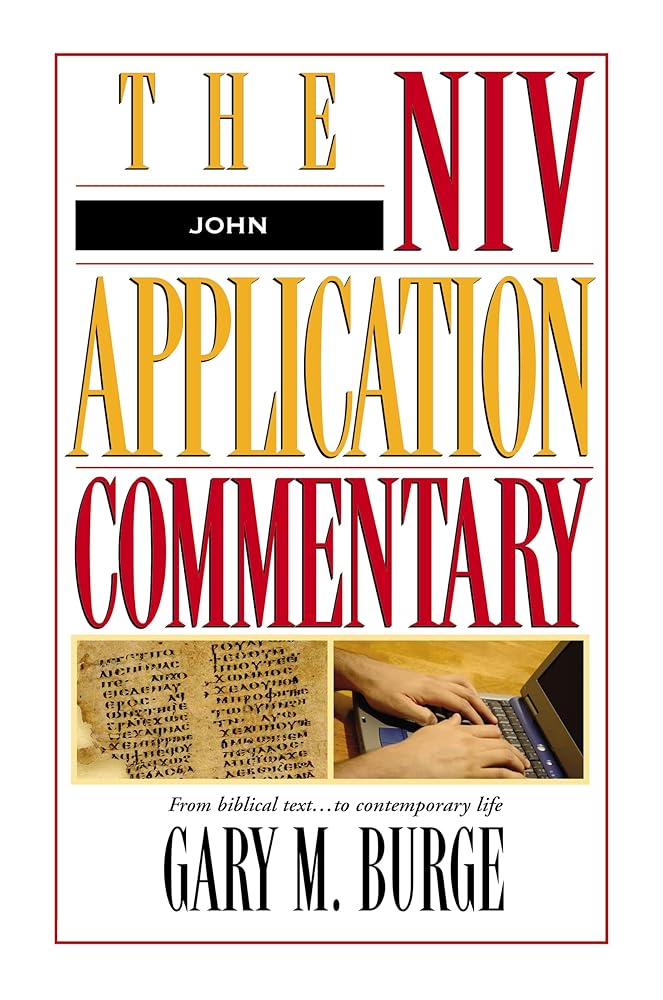 John: The NIV Application Commentary cover image