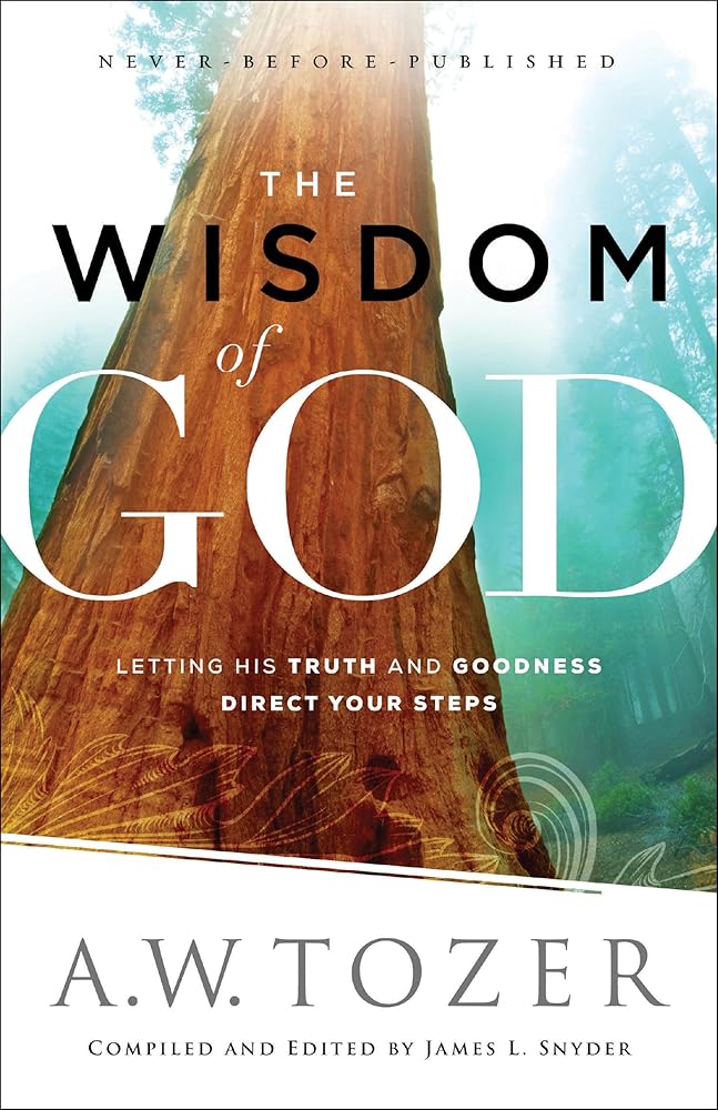 The Wisdom of God: Letting His Truth and Goodness Direct Your Steps cover image