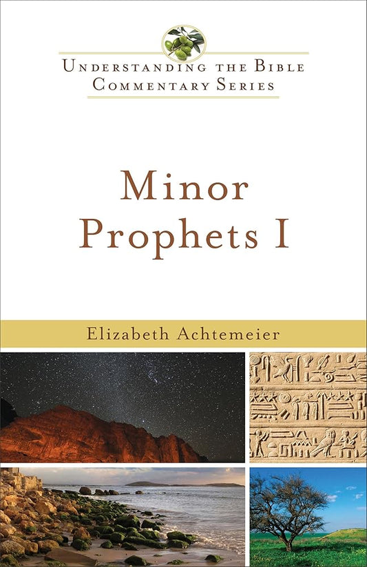 Minor Prophets I (Understanding the Bible Commentary Series) cover image