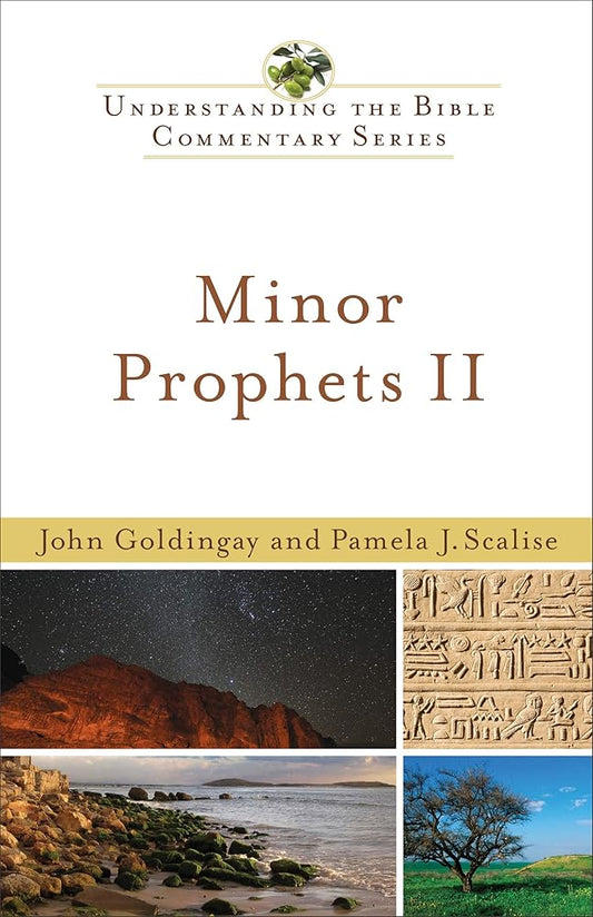 Minor Prophets II (Understanding the Bible Commentary Series) cover image