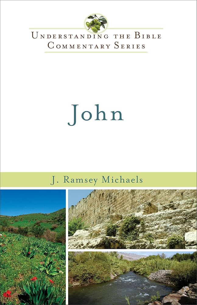 John (Understanding the Bible Commentary Series) cover image