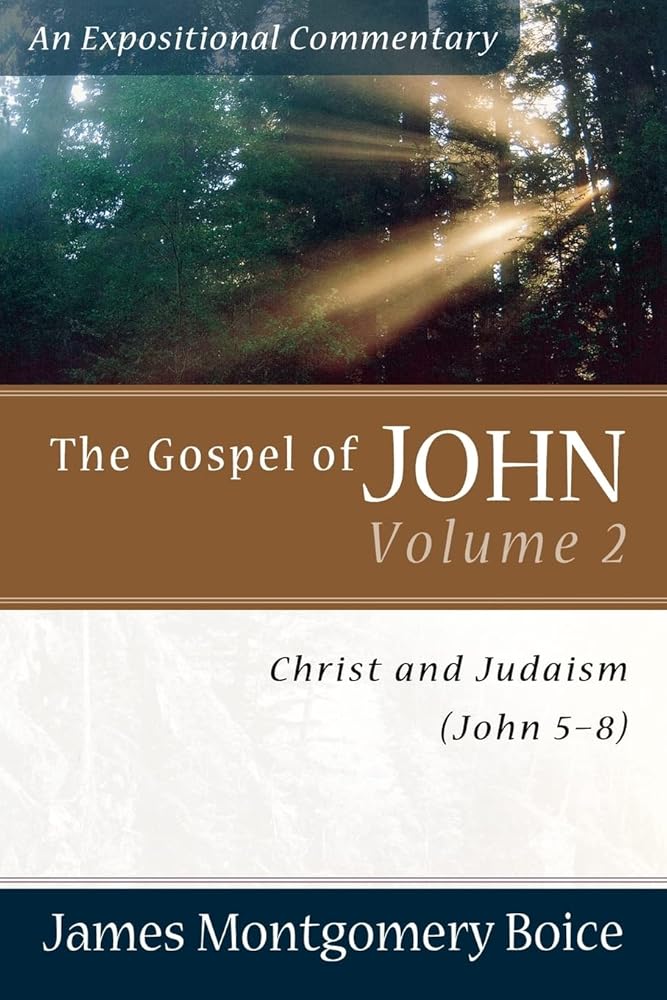 The Gospel of John: Christ and Judaism (John 5-8) (Expositional Commentary) cover image