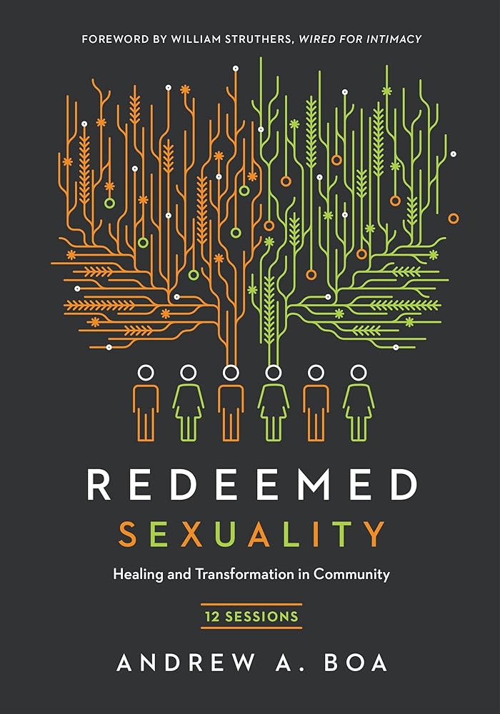 Redeemed Sexuality: 12 Sessions for Healing and Transformation in Community cover image
