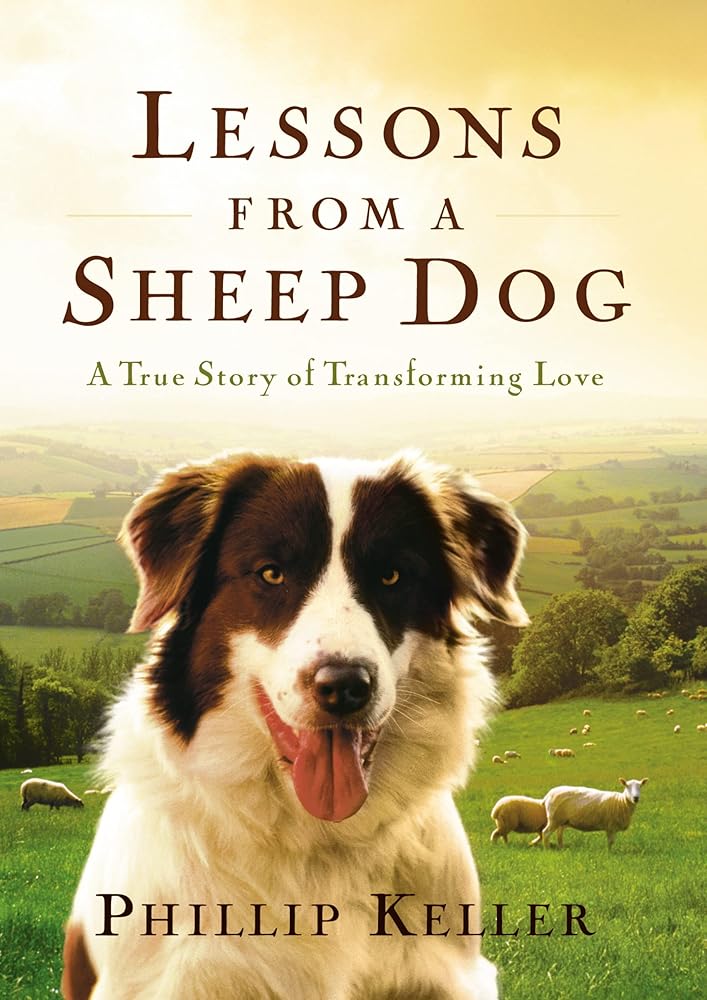 Lessons from a Sheep Dog: A True Story of Transforming Love cover image