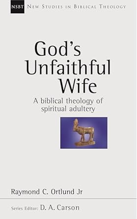 God's Unfaithful Wife cover image