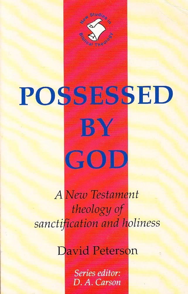 NSBT: Possessed by God cover image