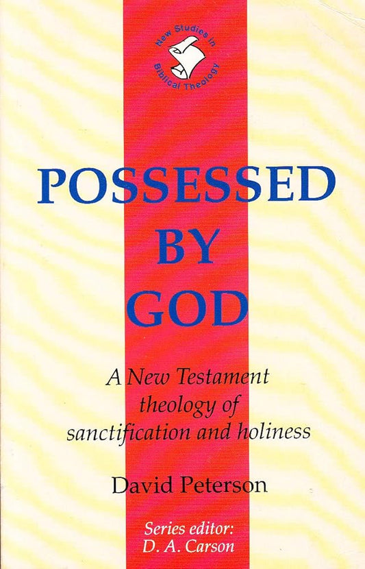 NSBT: Possessed by God cover image