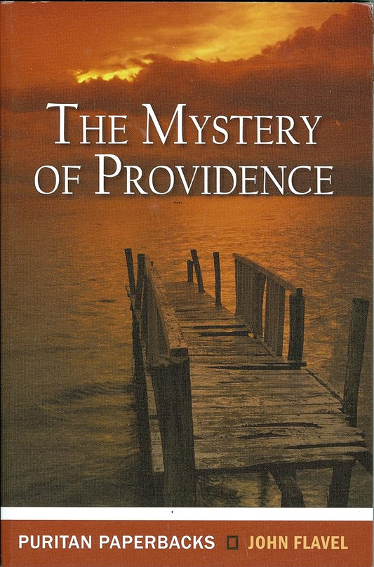 Mystery of Providence cover image