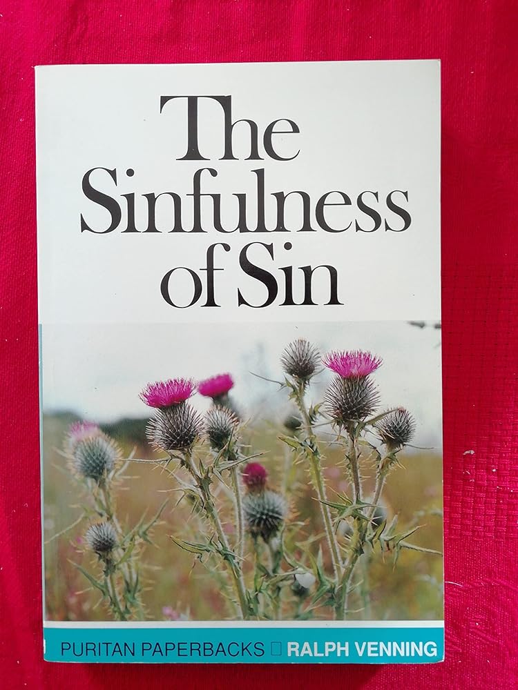 The Sinfulness of Sin cover image