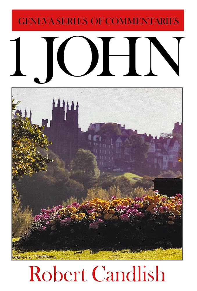1 John (Geneva S) cover image