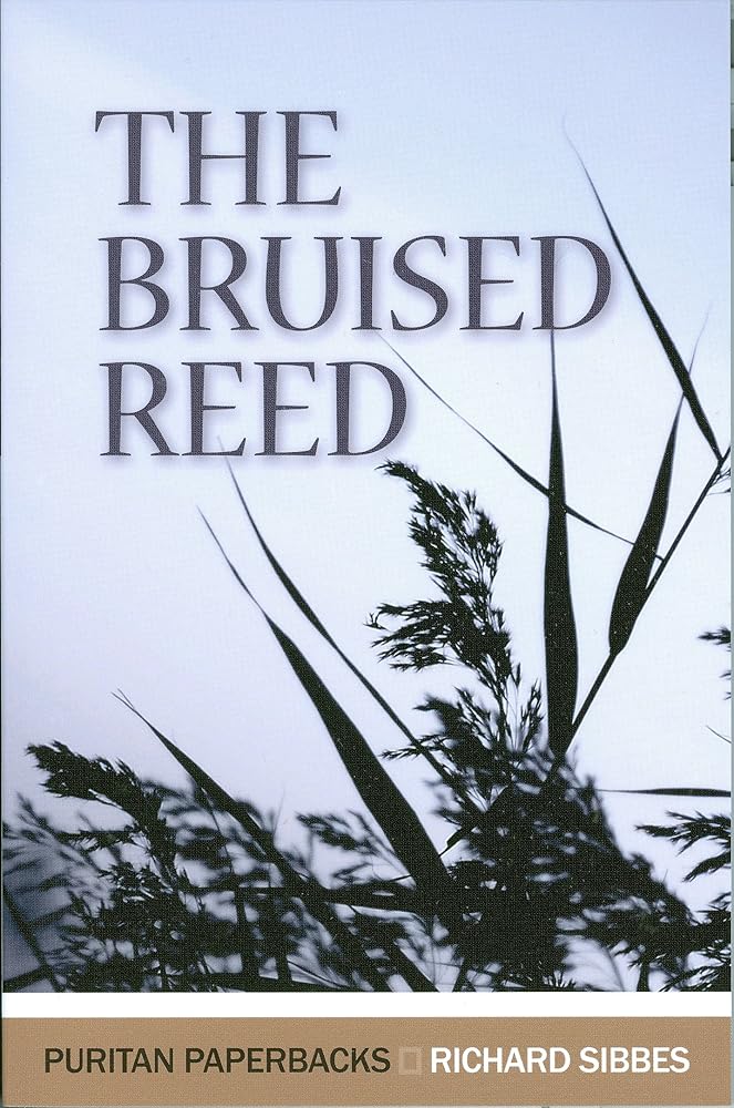 The Bruised Reed cover image