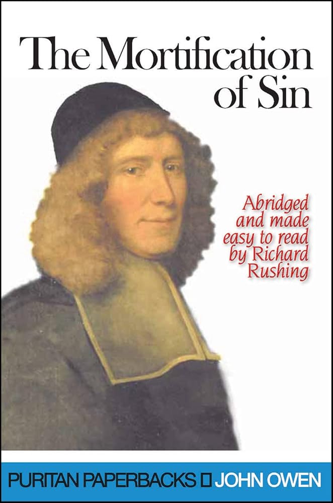 The Mortification of Sin (Puritan Paperbacks) cover image