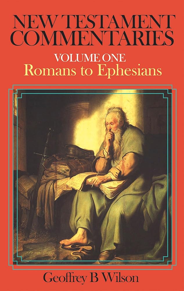 New Testament Commentaries: Volume 1: Romans to Ephesians cover image