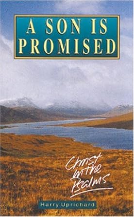 A Son is Promised: Christ in the Psalms cover image