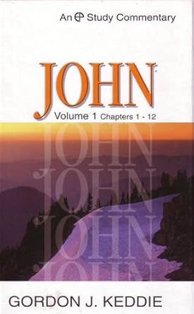 John: Volume 1 Chapters 1-12 (Evangelical Press Study Commentary) (Chapters 1-12 Vol 1) cover image